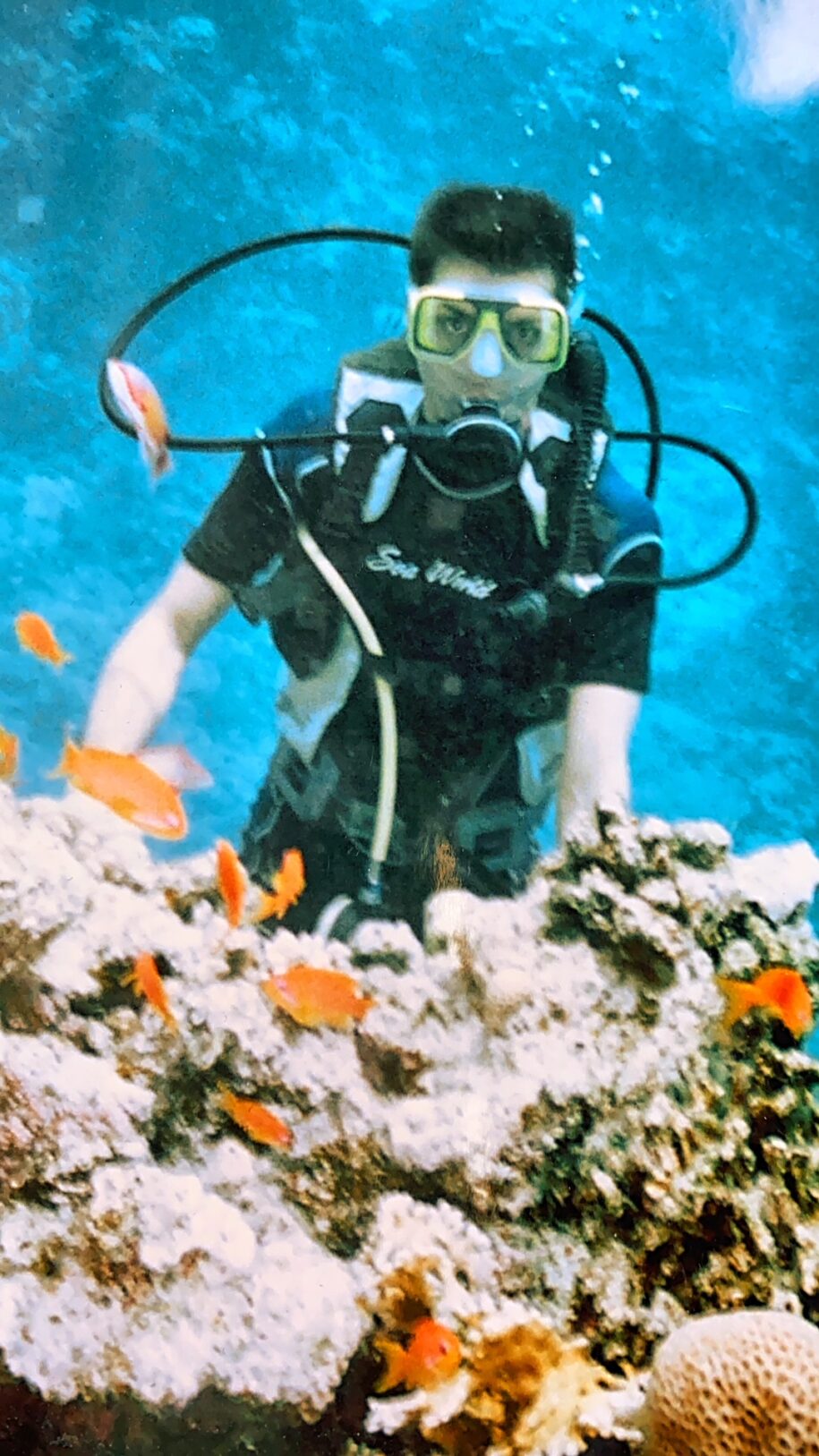 Ovidiu Muresanu Red Sea Scuba Diving